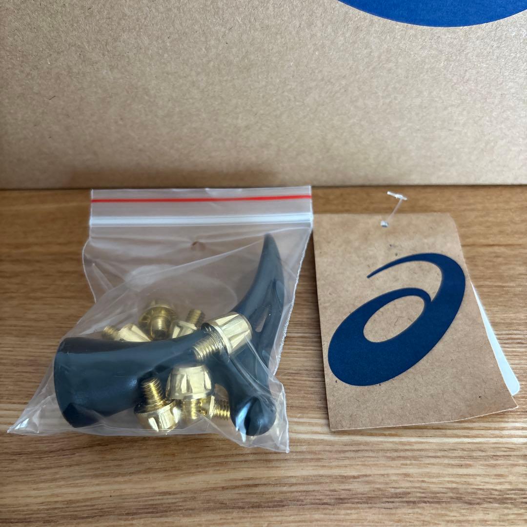 25cm　アシックス　サッカー　DS LIGHT X-FLY 　1101A026