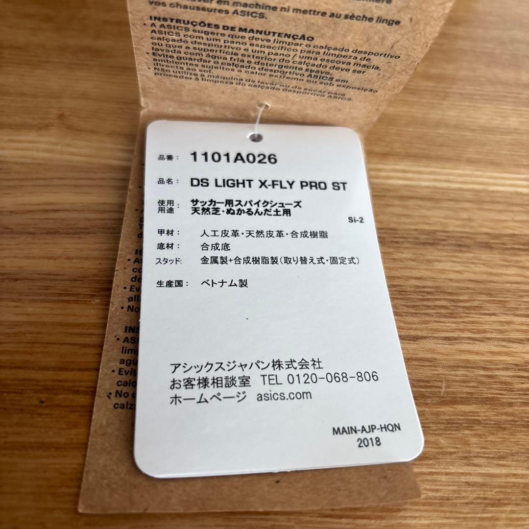 25cm　アシックス　サッカー　DS LIGHT X-FLY 　1101A026