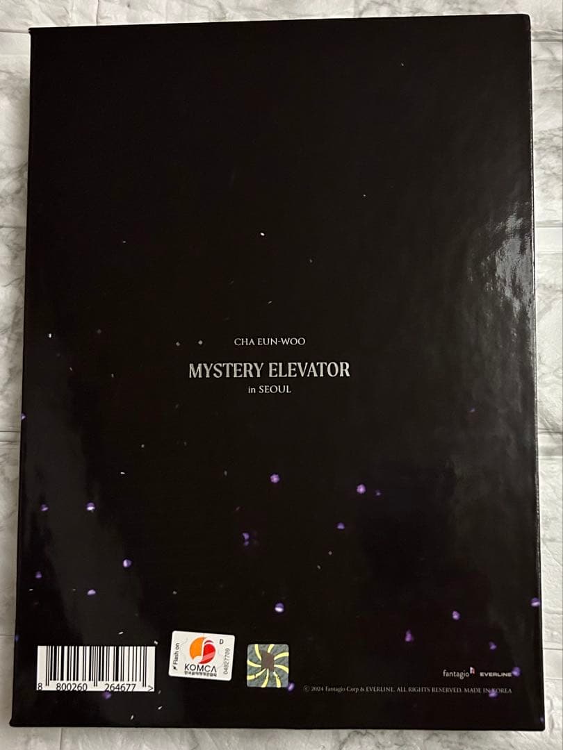 チャウヌ Mystery Elevator in Seoul DVD