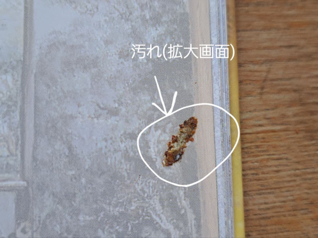 【作品集/ハードカバー】ジョセフィンウォール