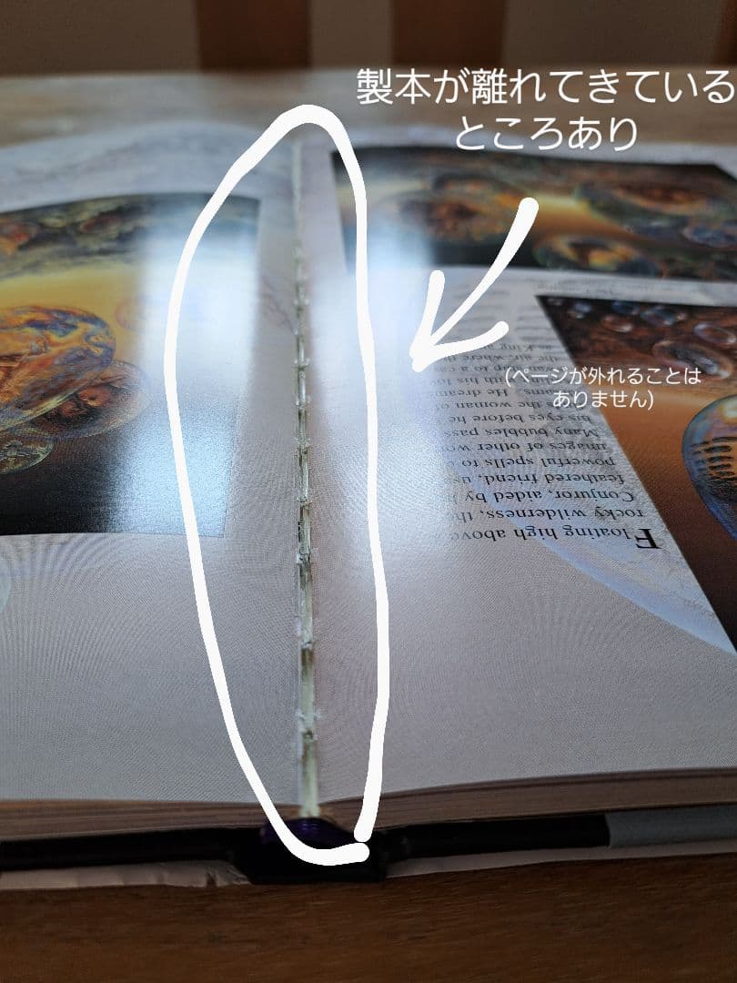 【作品集/ハードカバー】ジョセフィンウォール