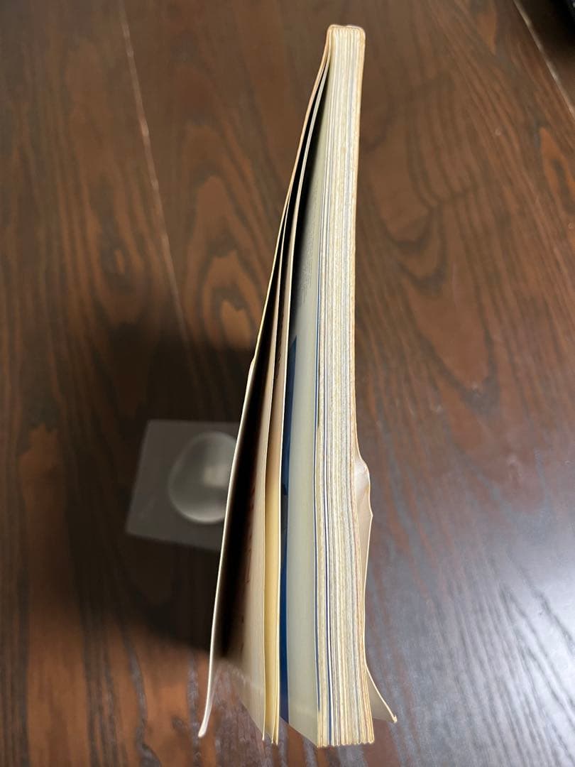 超希少　DESIGN from SCANDINAVIA No. 17