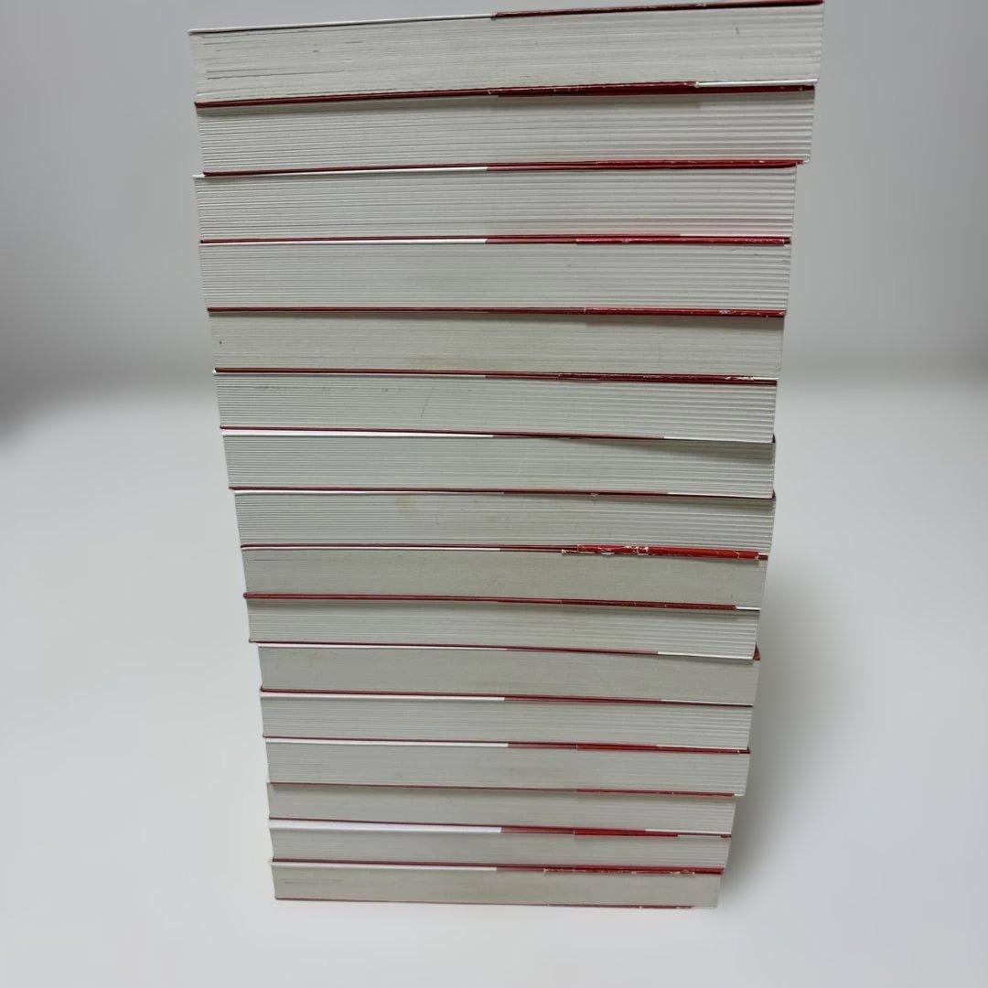 天は赤い河のほとり 藤原千絵 文庫サイズ 全巻1〜16巻 完結