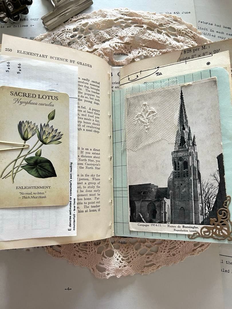 ジャンクジャーナル 54 雑記帳