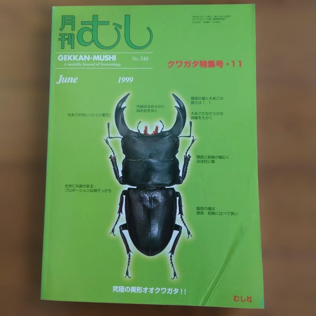 クワガタムシ関係　12冊