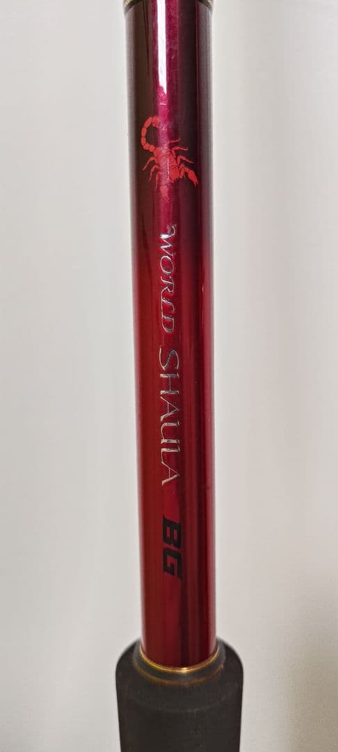 ワールドシャウラBG 21203R-3