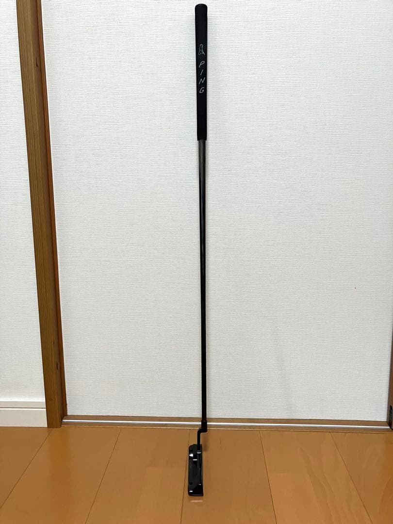 沼沢雄二　Model19R パター