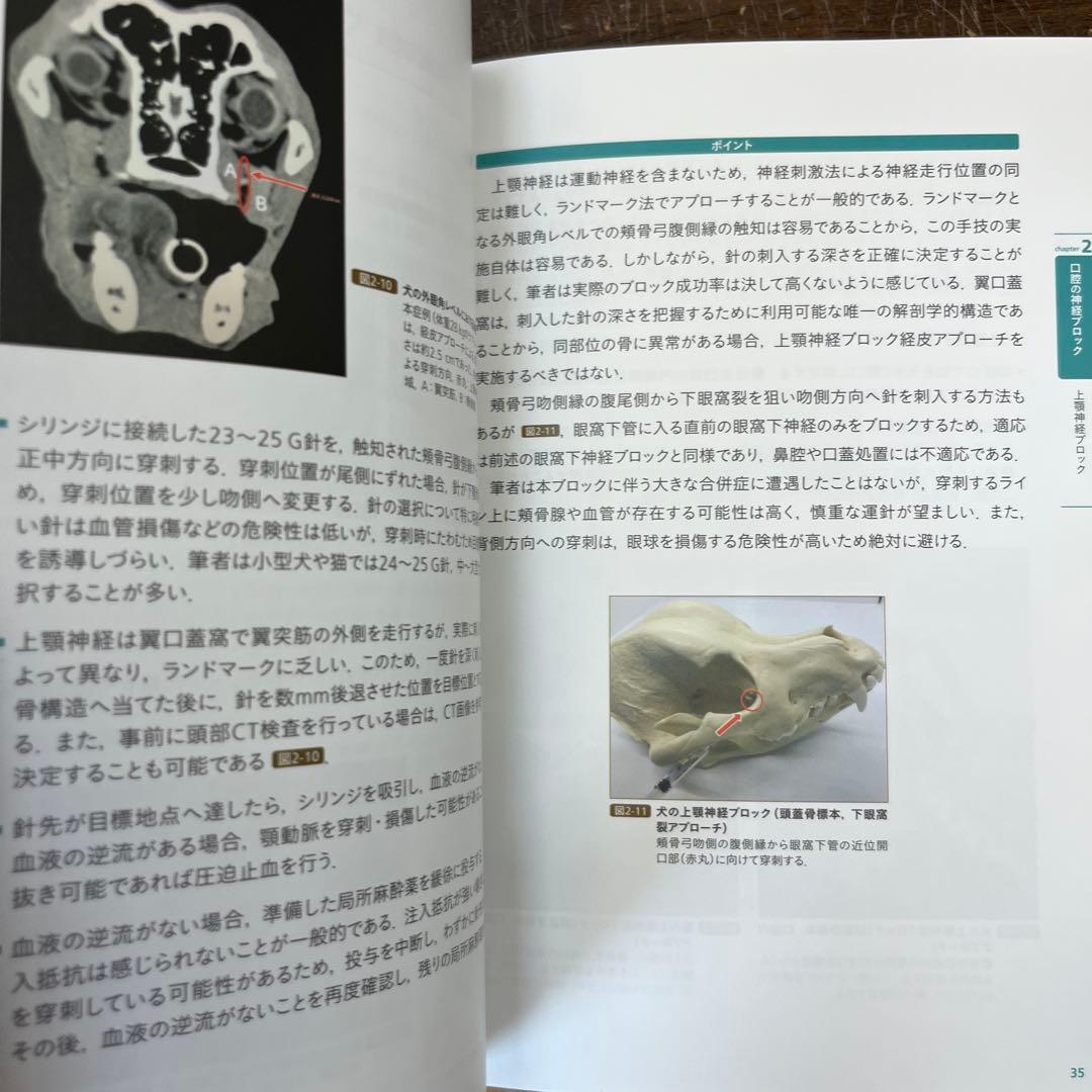 動画でわかる犬猫の神経ブロック