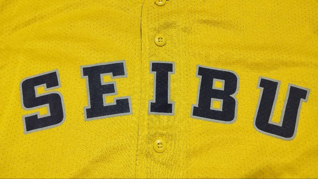 埼玉西武ライオンズ 中村剛也 西武鉄道100周年&イエローシリーズ ユニセット