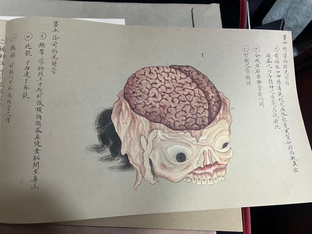 『解剖存真図』「胃・腸編」「肺・心臓編」「脳・神経編」カラー複製 3点◆腑分け