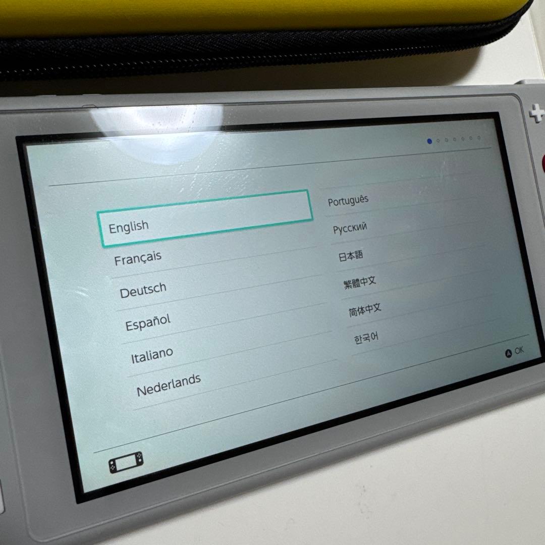 Nintendo Switch Lite ザシアン・ザマゼンタモデル 本体