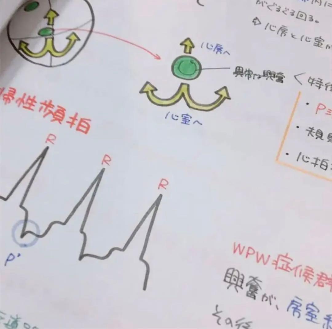 専用ページ　心臓　血液　まとめノート