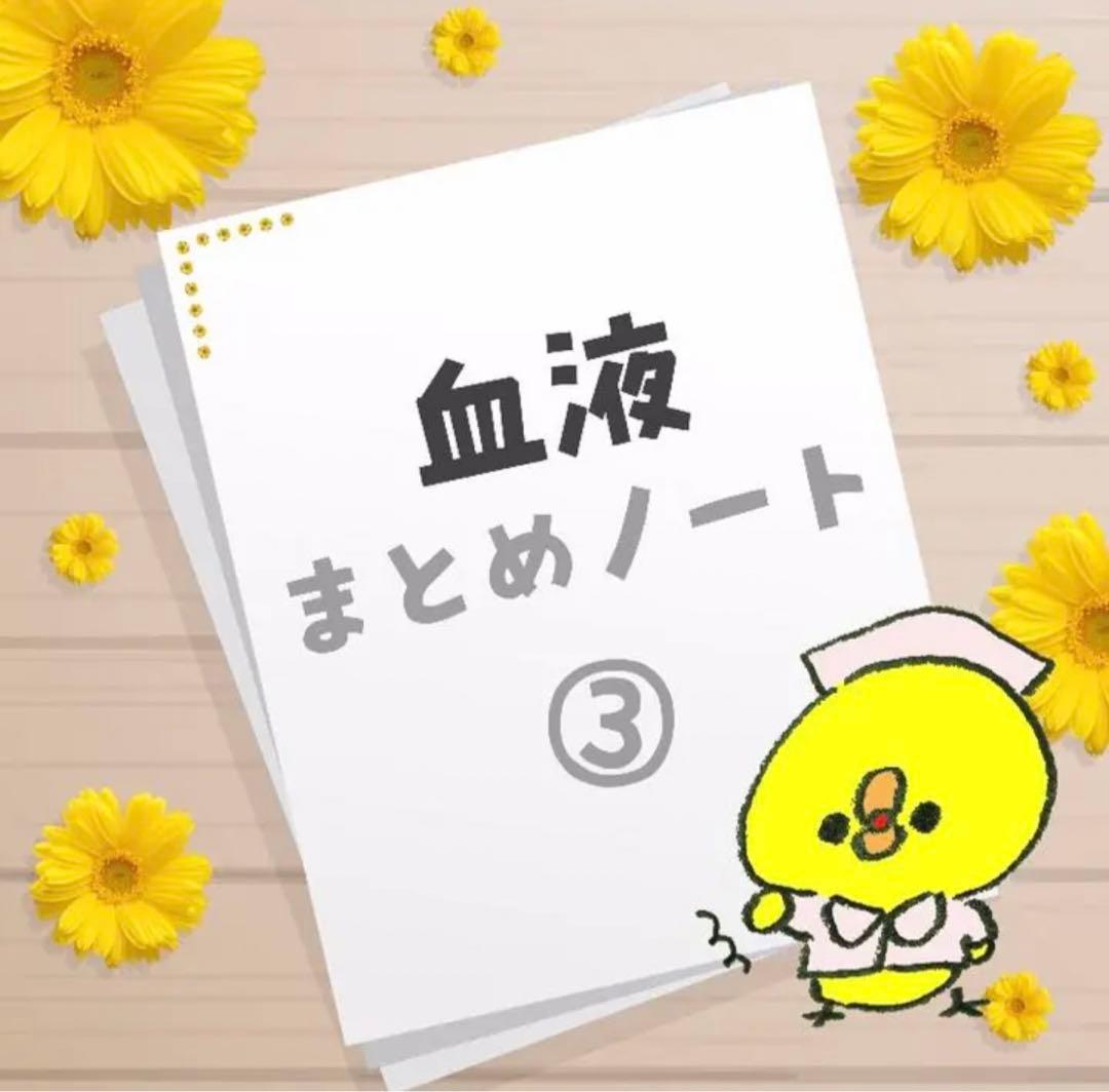 専用ページ　心臓　血液　まとめノート