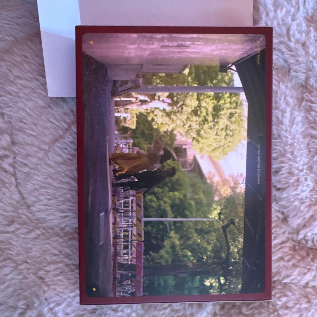 彼女と彼氏の明るい未来 DVD-BOX〈3枚組〉