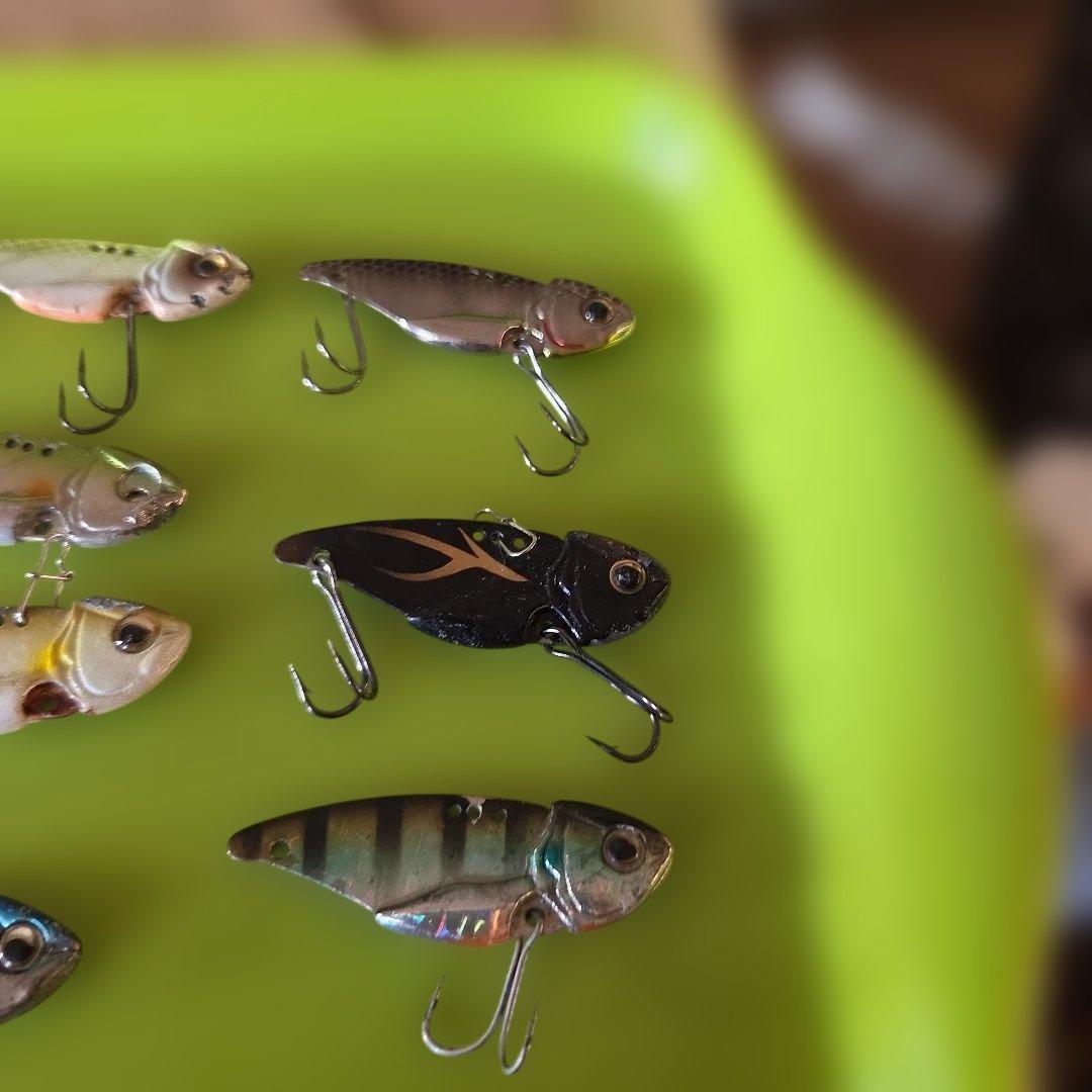 エバーグリーン　リトルマックスセット