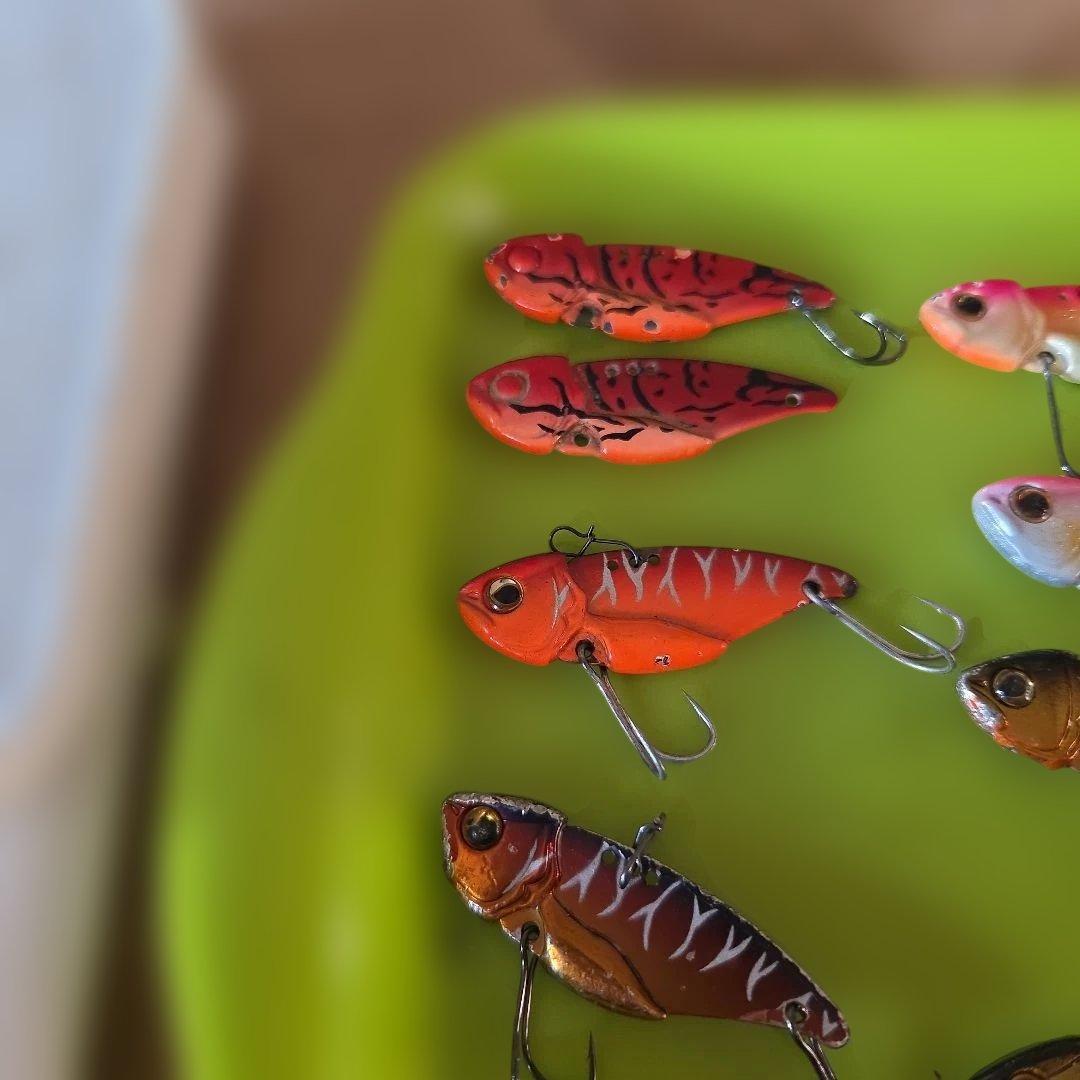 エバーグリーン　リトルマックスセット