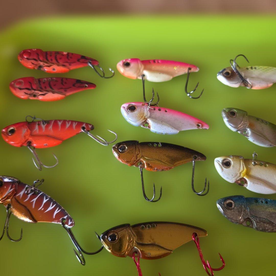 エバーグリーン　リトルマックスセット