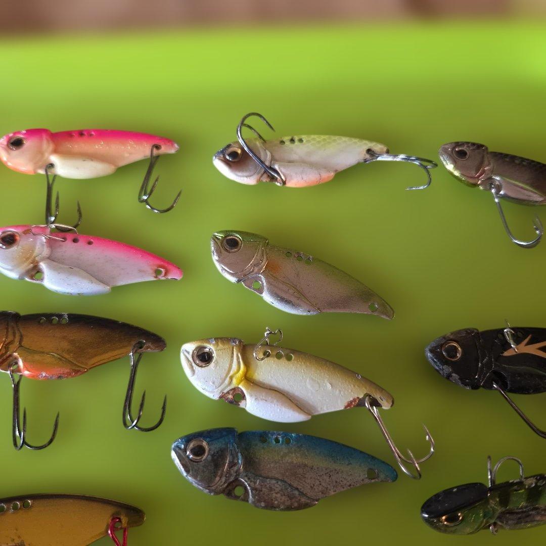 エバーグリーン　リトルマックスセット