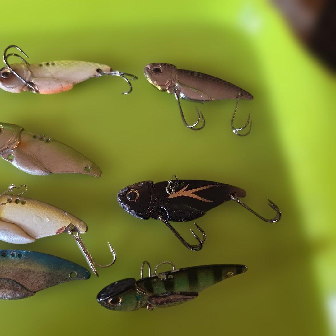 エバーグリーン　リトルマックスセット