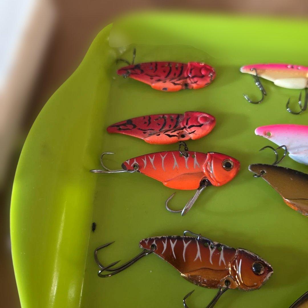 エバーグリーン　リトルマックスセット