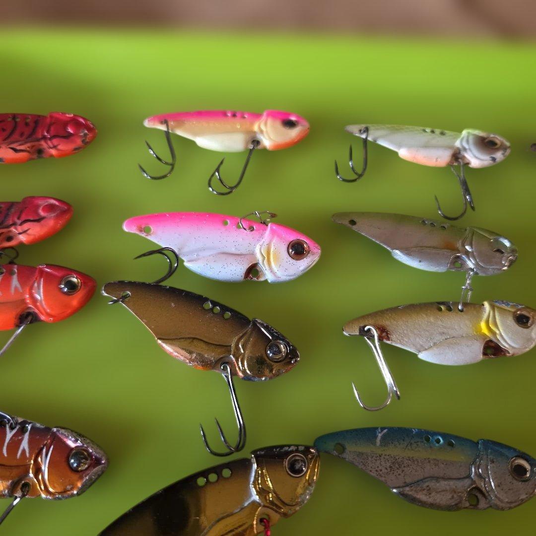 エバーグリーン　リトルマックスセット