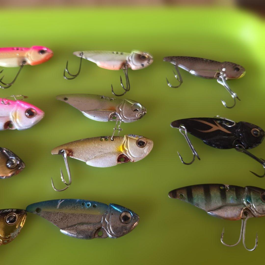 エバーグリーン　リトルマックスセット