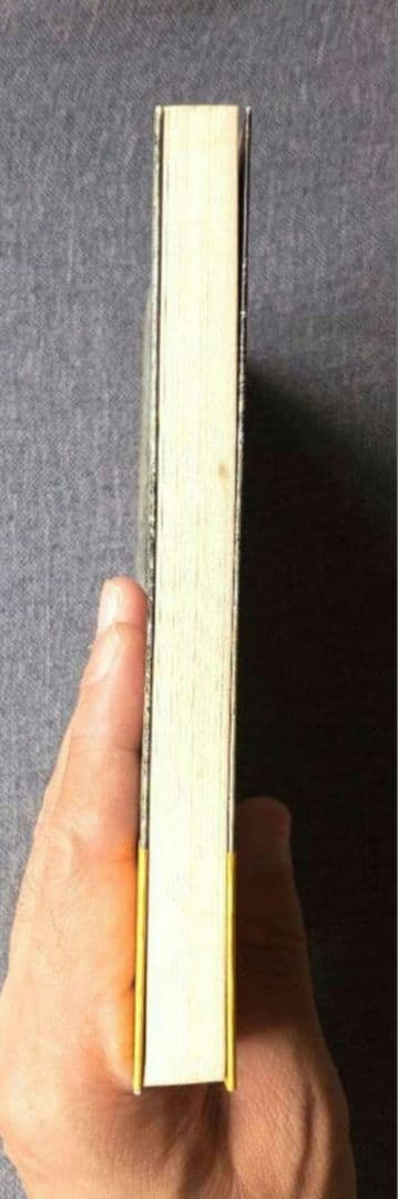 入手困難　帯付き　輪廻転生の中で　徳山暉純