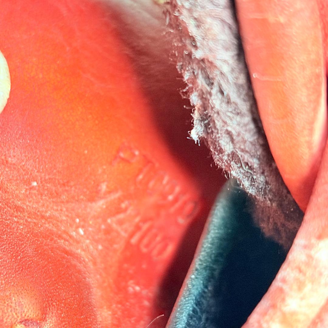 MIZUNO Global Elite RG キャッチャーミット 軟式