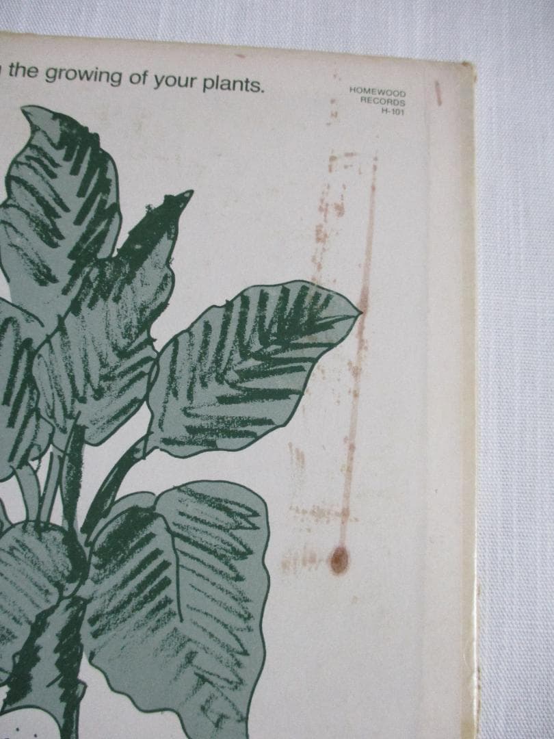 洋楽 Mort Garson Mother Earth's Plantasia