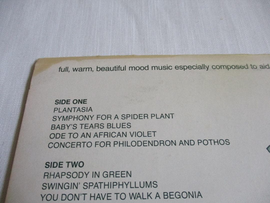 洋楽 Mort Garson Mother Earth's Plantasia