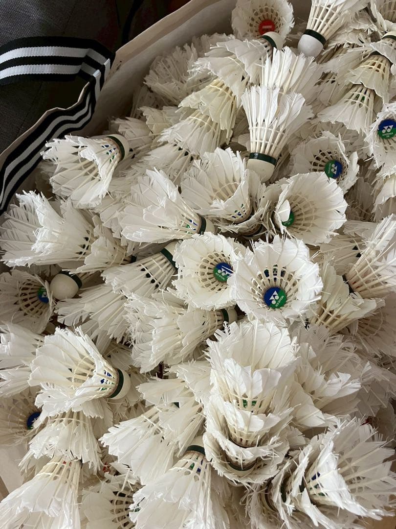 バドミントン　シャトル　1482本