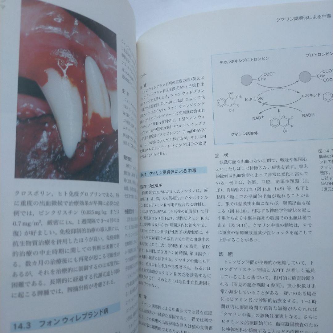 外L1231　図でみる犬と猫の実践血液学