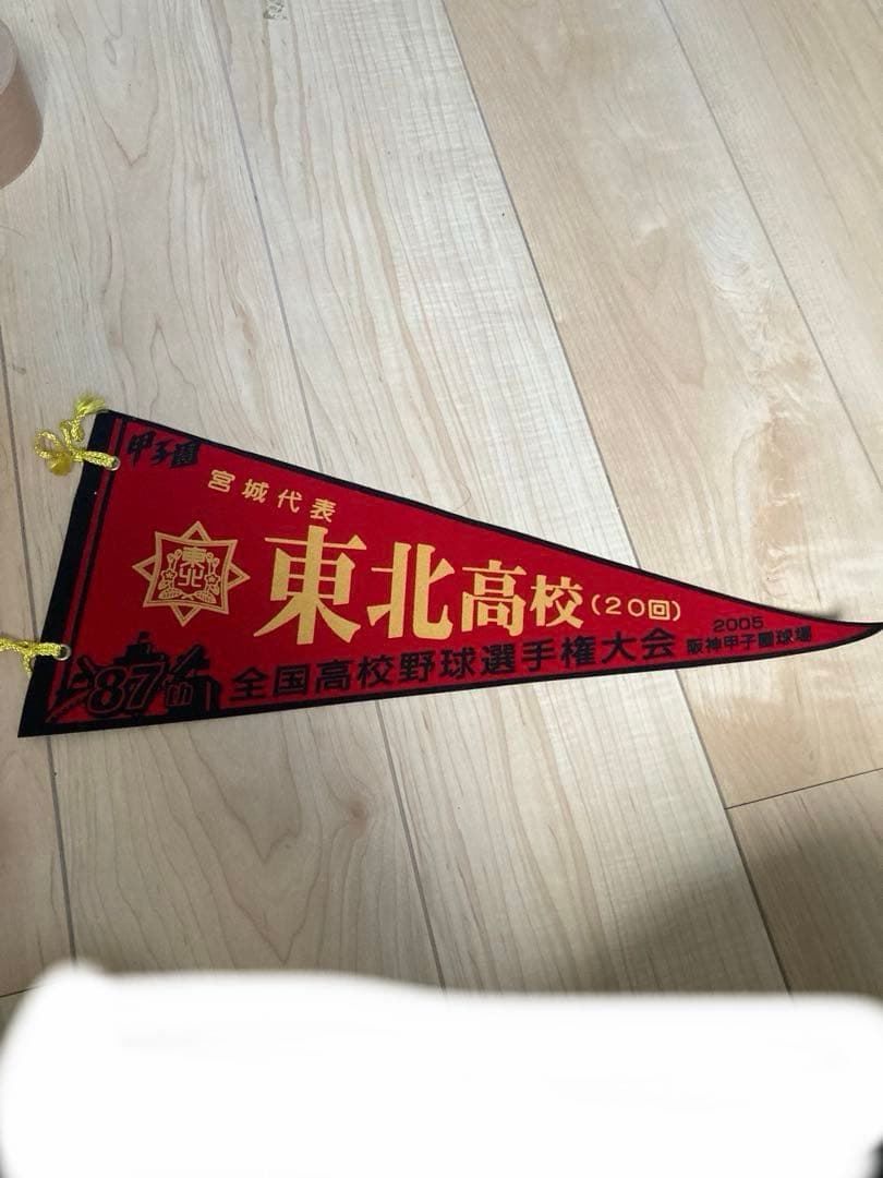 第87回全国高校野球選手権大会　甲子園出場校ペナント　まとめ売り