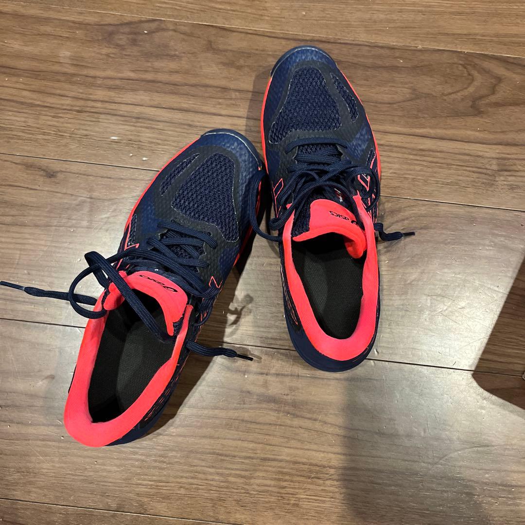 高麗人参asics JAPAN LYTE FF2