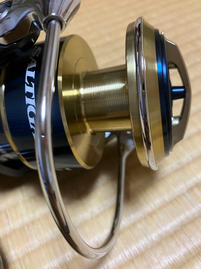 Daiwa ダイワ　20 SALTIGA 20 ソルティガ　10000-H