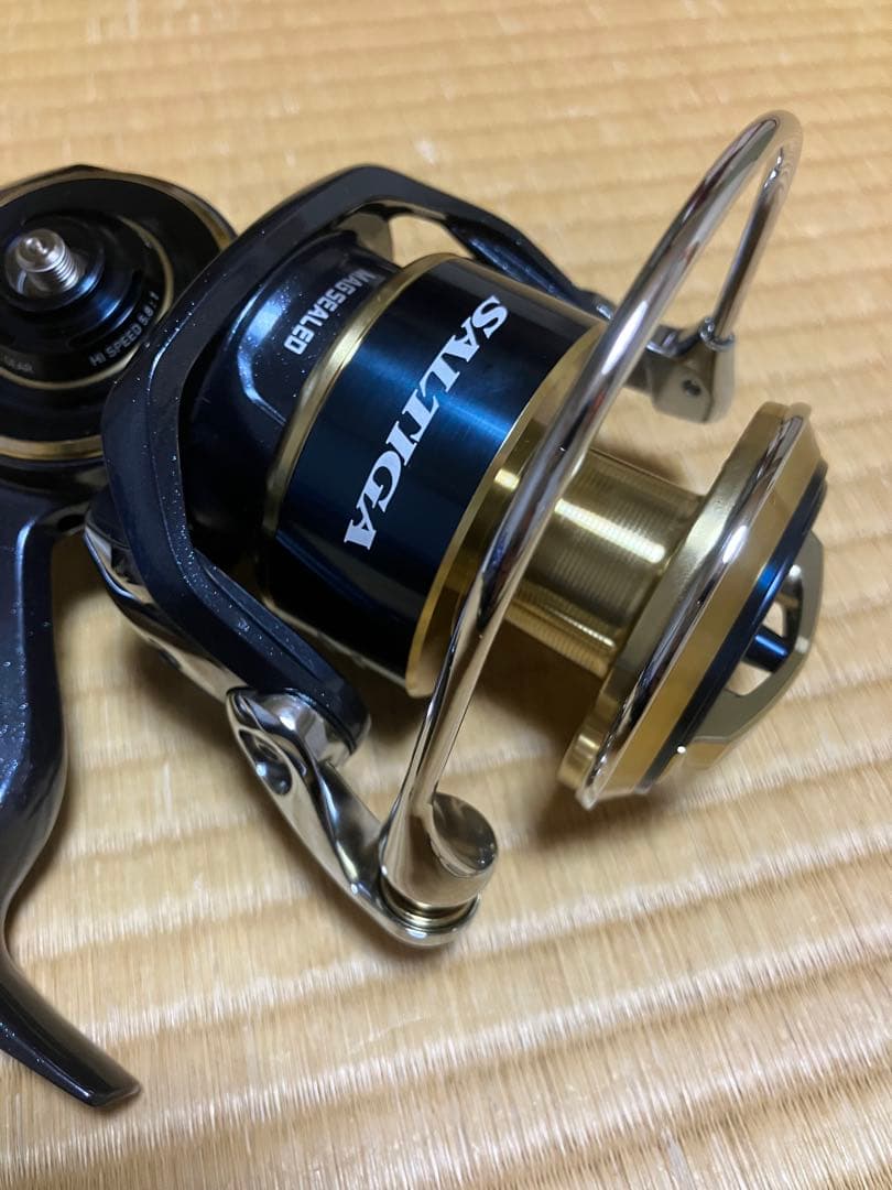 Daiwa ダイワ　20 SALTIGA 20 ソルティガ　10000-H