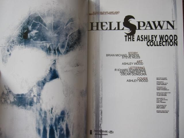 Hellspawn： The Ashley Wood Collection