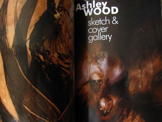 Hellspawn： The Ashley Wood Collection