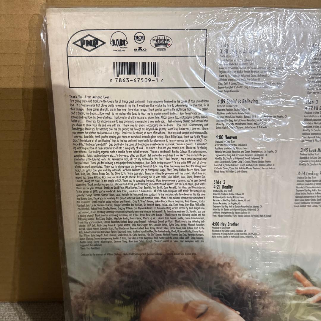Adriana Evans Seeing Is Believing レコード