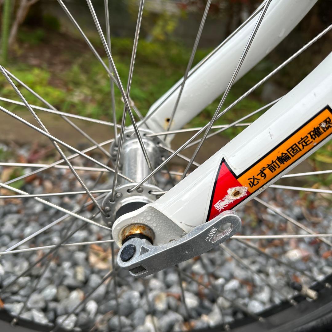 ルイガノ J22 LOUIS GARNEAU ジュニア22インチ