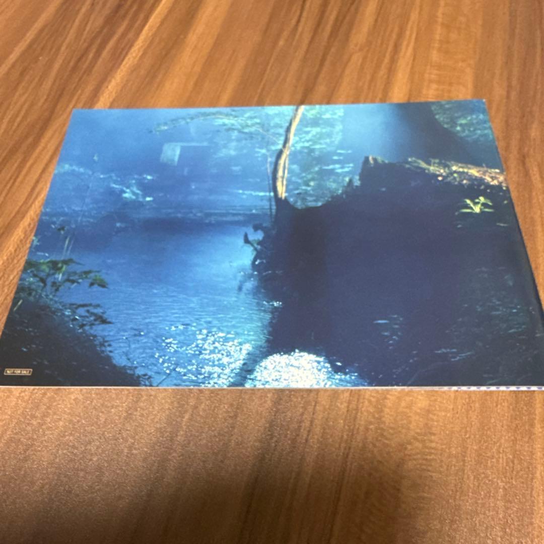 白ゆき姫殺人事件 豪華版　〈初回限定生産・2枚組〉」　本編 blu-ray