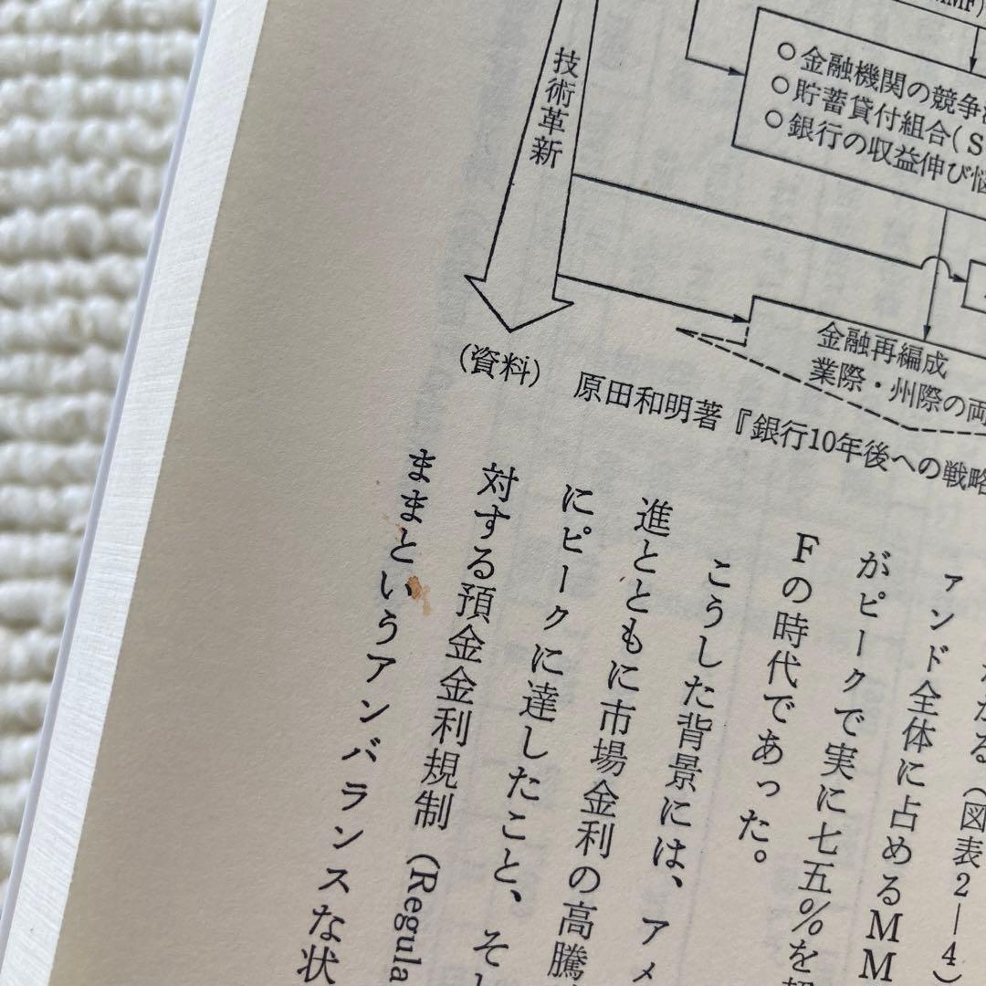 ノンバンクの挑戦 銀行は勝てるか/松浦功.小林滝雄