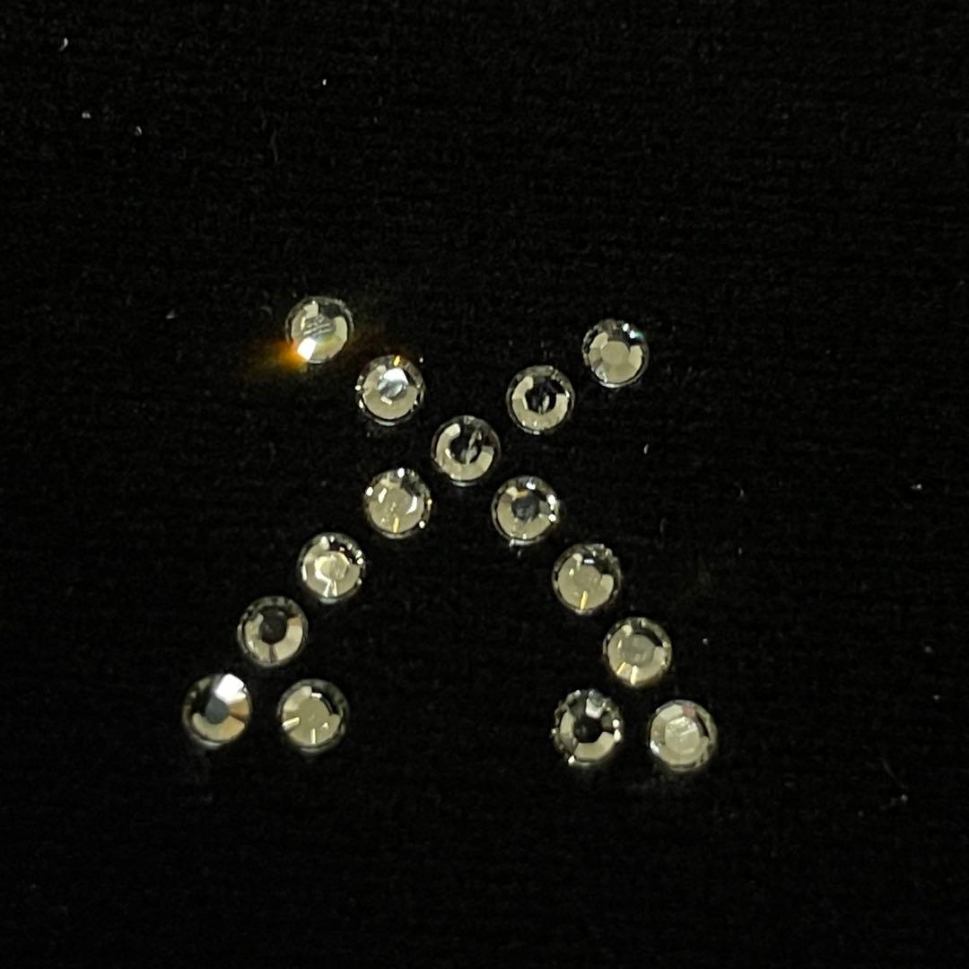 レオナール　パーカー　ベロア　花柄　近年モデル　トリム　ラインストーン　黒　3L