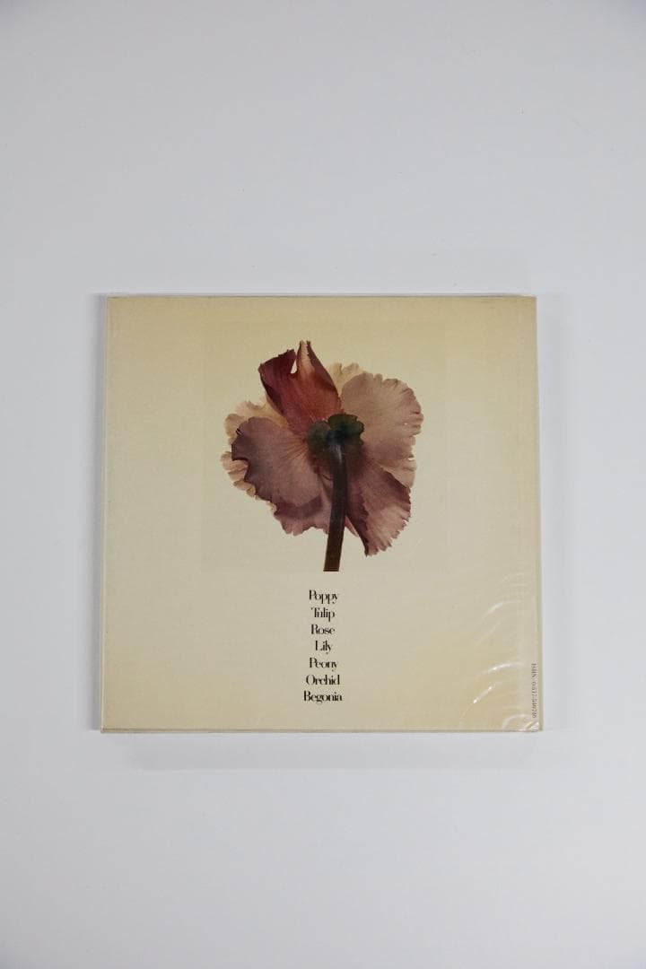 Irving Penn Flowers アーヴィングペン フラワーズ 写真集