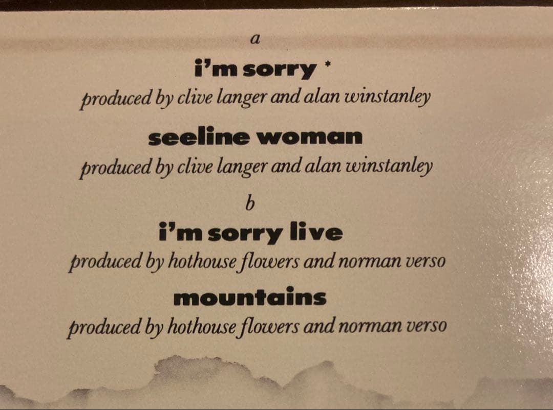 ◾️稀少12インチEP◾️HOTHOUSE FLOWERS / ホットハウスフラワー