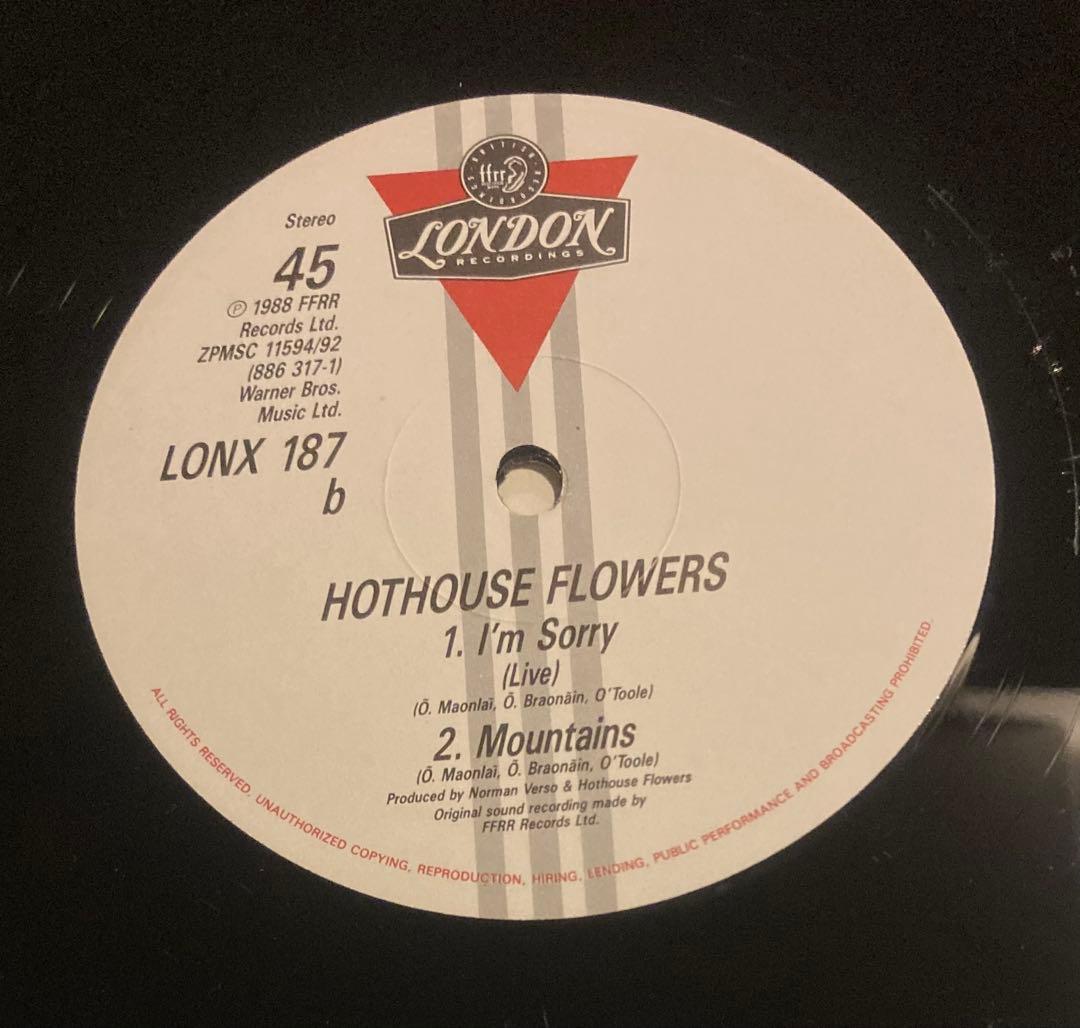 ◾️稀少12インチEP◾️HOTHOUSE FLOWERS / ホットハウスフラワー