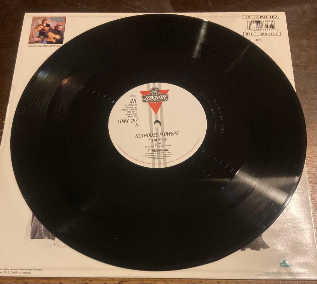 ◾️稀少12インチEP◾️HOTHOUSE FLOWERS / ホットハウスフラワー