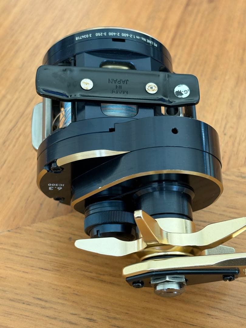 Daiwa Saltiga IC300 ベイトリール