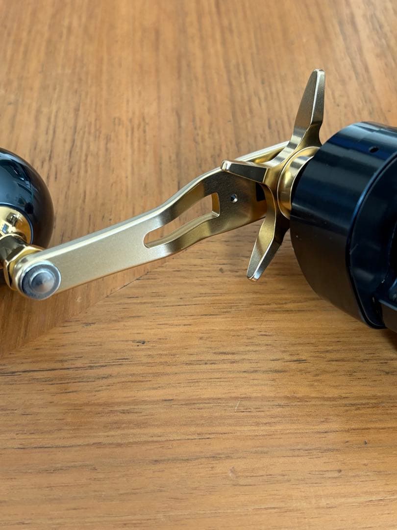 Daiwa Saltiga IC300 ベイトリール