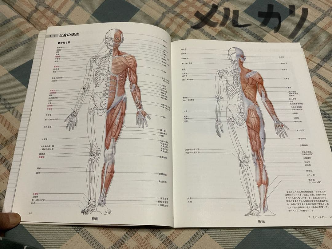 ナースが視る病気と、ナースが視る人体（医学書）講談社。【これから医師を目指す方】